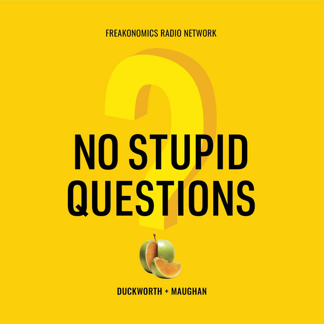 No Stupid Questions Podcast logo