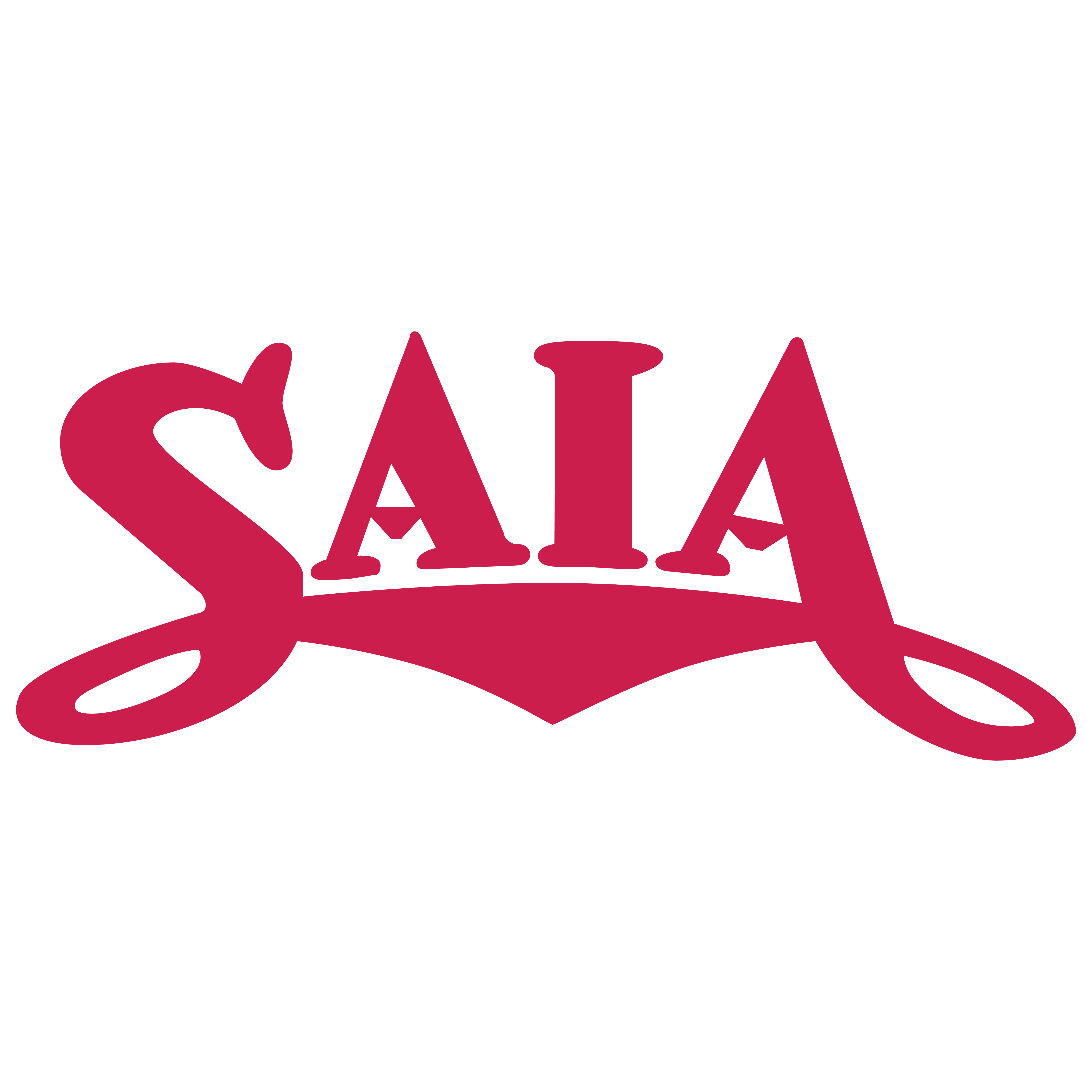 SAIA EDI logo